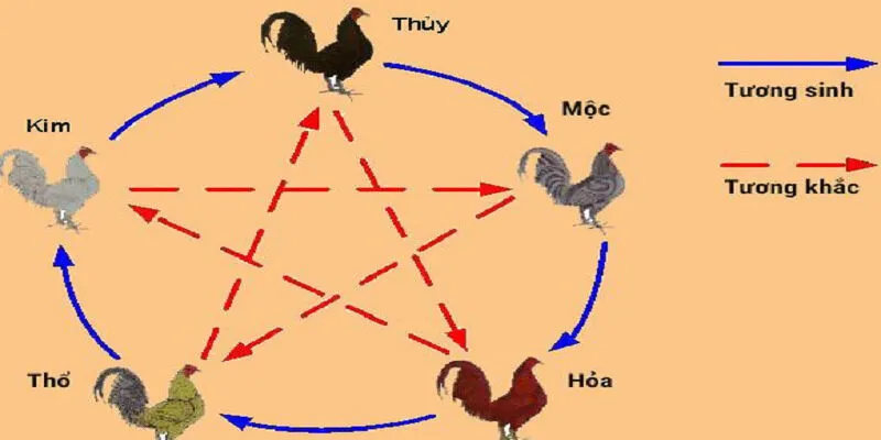 Lựa chọn màu mạng gà đá theo phong thủy để tăng cơ hội thắng