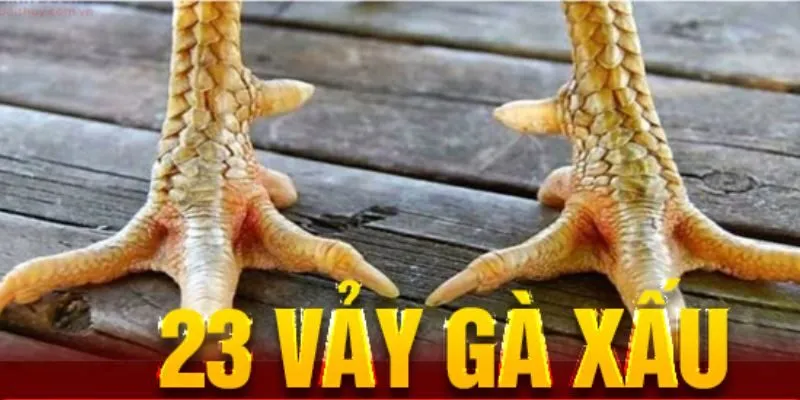 Tìm hiểu 23 vảy gà xấu và cách tránh chọn nhầm chiến kê